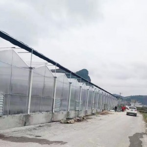 溫室大棚為什么要選用PC陽(yáng)光板做覆蓋材料？