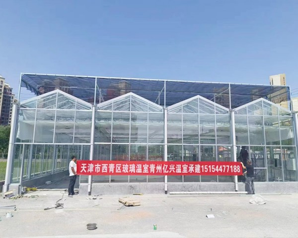 天津市西青區玻璃溫室
